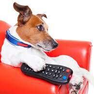 TV Enterteiment